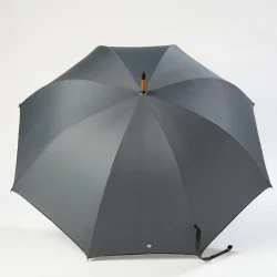 Parapluie Canne Gris, ouvert