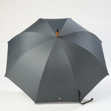 Parapluie Canne Gris, ouvert