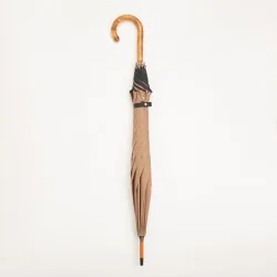 Brown walking umbrella, closed