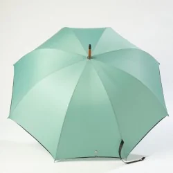 Parapluie Canne vert d'eau, ouvert