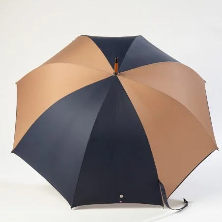 Blue and brown walking umbrella, open