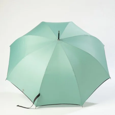 Automatic umbrella, seafoam green, open