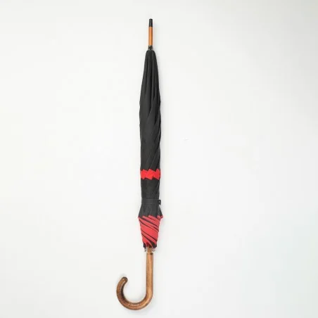 Black and red walking umbrella, closed