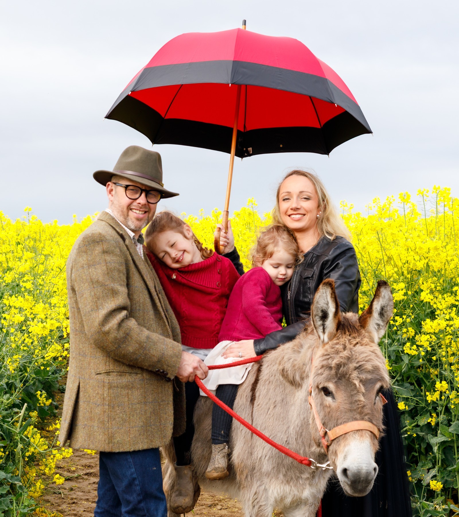 Différents modèles de parapluies et ombrelles garantis à vie