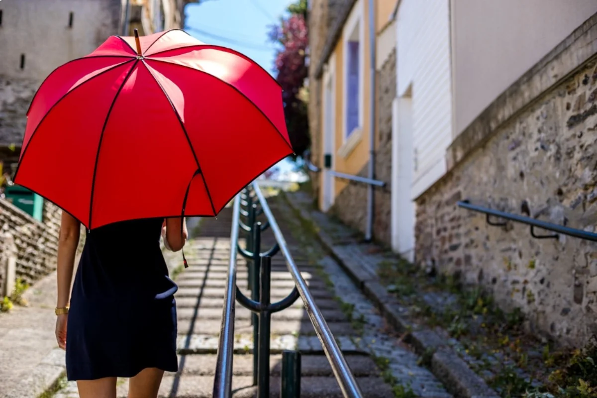 Various models of umbrellas and parasols with a lifetime guarantee