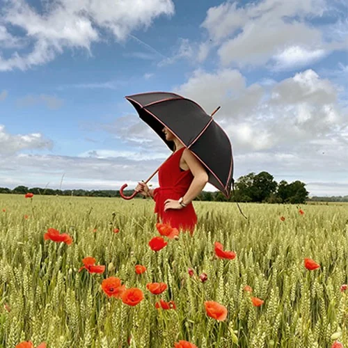 parapluie de prestige